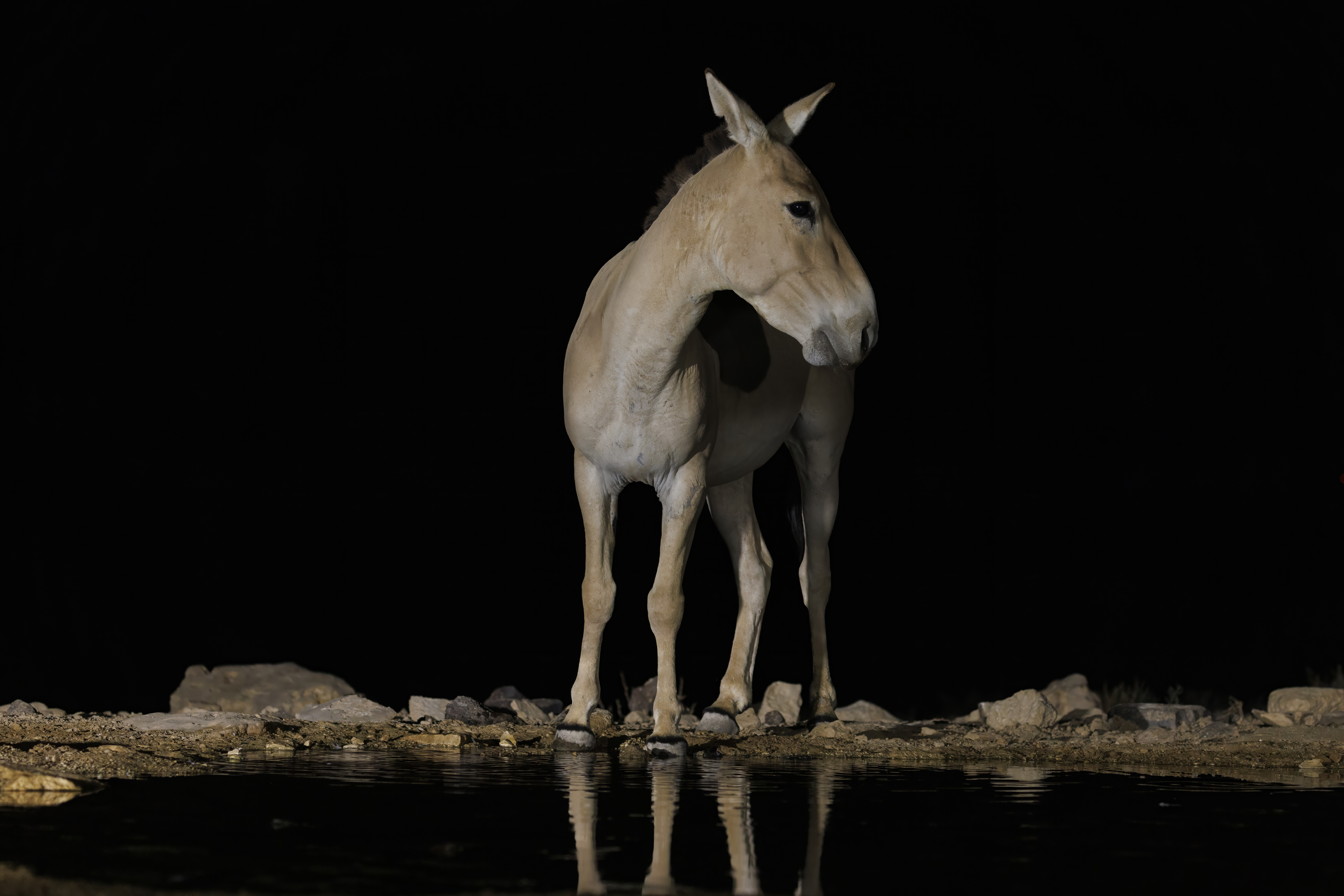 20220819-August 19, 2022-203120-4-203120-Edit.jpg